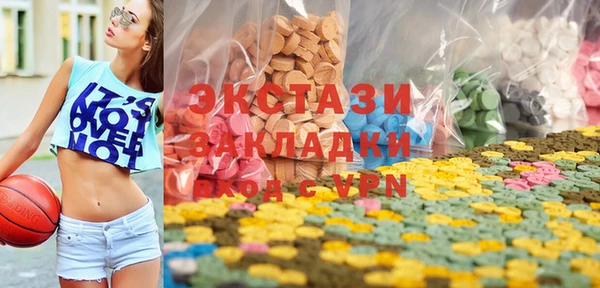 spice Богородицк